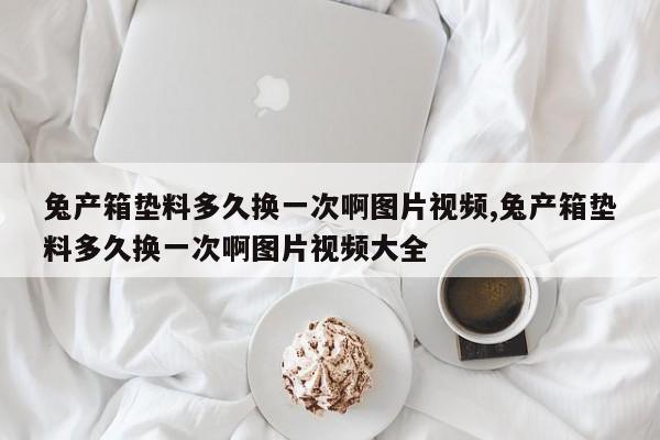 兔产箱垫料多久换一次啊图片视频,兔产箱垫料多久换一次啊图片视频大全