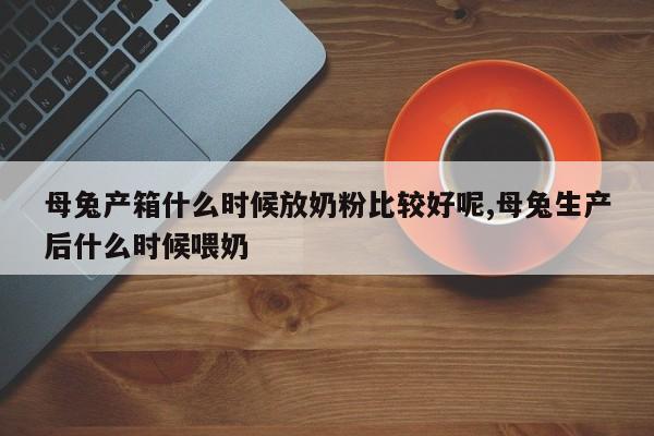 母兔产箱什么时候放奶粉比较好呢,母兔生产后什么时候喂奶