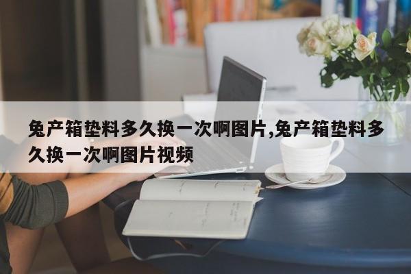 兔产箱垫料多久换一次啊图片,兔产箱垫料多久换一次啊图片视频