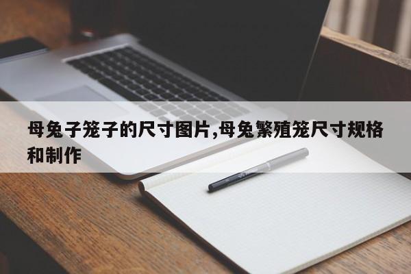 母兔子笼子的尺寸图片,母兔繁殖笼尺寸规格和制作