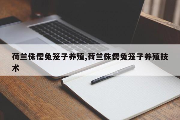 荷兰侏儒兔笼子养殖,荷兰侏儒兔笼子养殖技术