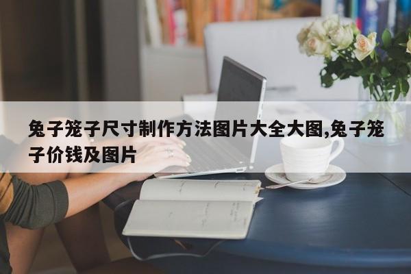 兔子笼子尺寸制作方法图片大全大图,兔子笼子价钱及图片